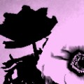 Warhol Pink 01